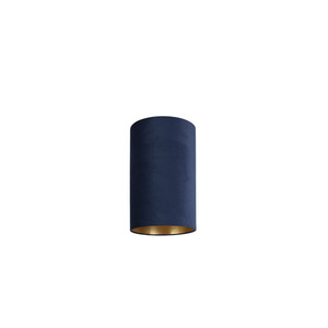 Stínidlo CAMELEON BARREL THIN S BLUE / GOLD small 0