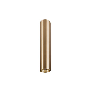 Downlight EYE BRASS M small 0