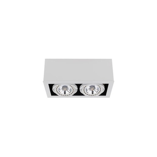 Kontrola Svítidlo BOX WHITE II ES111