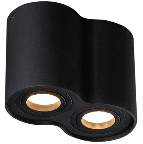 Kontrola Černé kovové stropní svítidlo Max Light Basic Round II BK C0086 2×GU10