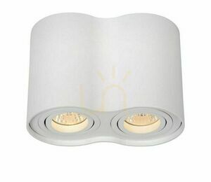 Přisazené stropní bodové svítidlo Lucide TUBE bílé, 2×GU10, 22952/02/31 small 0