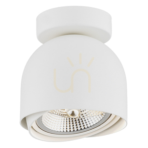 Plafon Argon Garland bílá struktura GU10 4710 BZ small 0