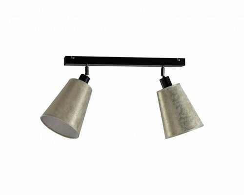 Kontrola Spot 2xE27 EVA GOLD 902