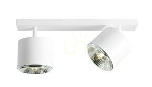 Stropní svítidlo Aldex Bot 2 bílé 2xGU10-AR111 1046PL_H small 0