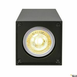 Stropní svítidlo SLV ALTRA DICE CL černé 35W 1002216 1 Stropní svítidlo SLV ALTRA DICE CL černé 35W 1002216 small 1
