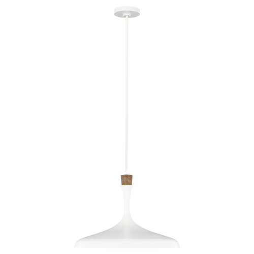 Kontrola Darwin 1 Light Pendant - matná bílá Elstead