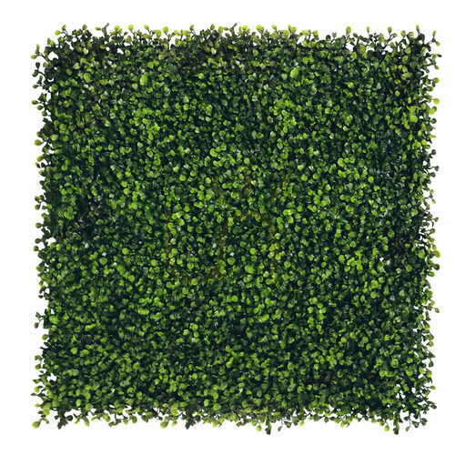 Kontrola Zelená stěna Boxwood 40x60cm