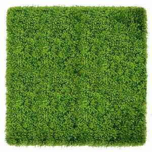 Buxus zelená stěna 40x60cm small 1