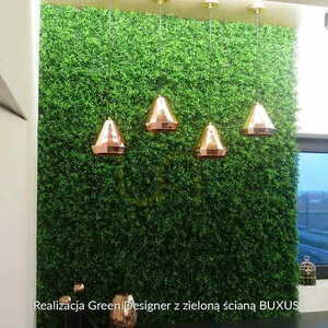 Buxus zelená stěna 40x60cm small 3