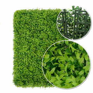 Buxus zelená stěna 40x60cm small 4