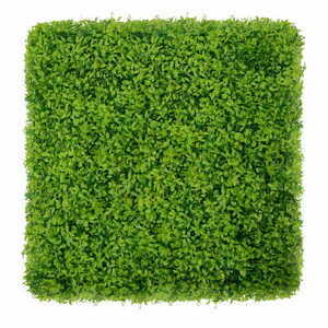 Buxus zelená stěna 40x60cm small 0