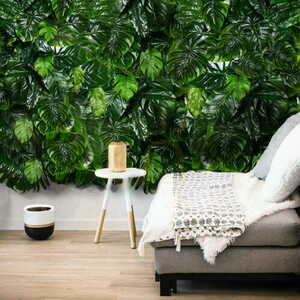 Vertikální zahrada Monstera Madness small 3