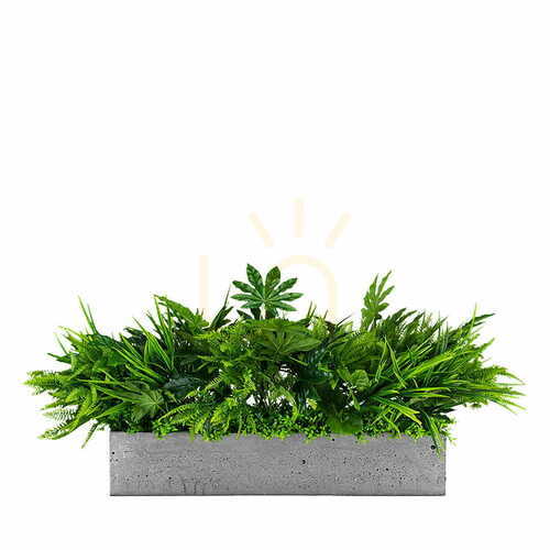 Kontrola Složení rostlin pro Dove pot