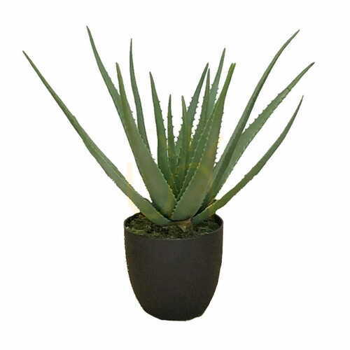 Kontrola Umělá aloe 58 cm v květináči