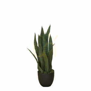 Umělá rostlina Sansevieria Zelenica 65cm small 1