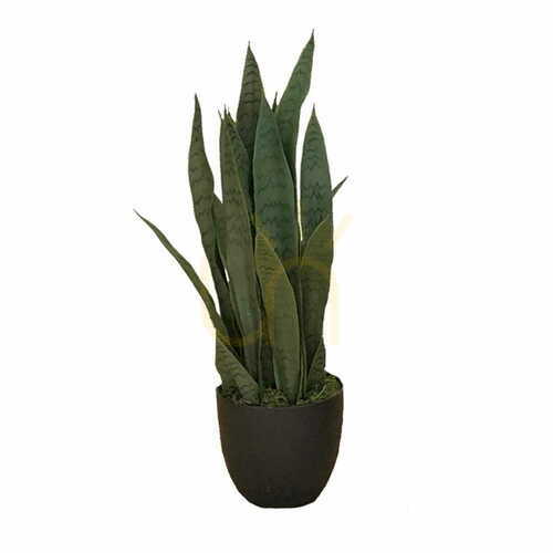 Kontrola Umělá rostlina Sansevieria Zelenica 65cm