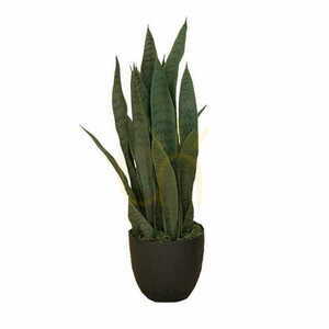 Umělá rostlina Sansevieria Zelenica 65cm small 0