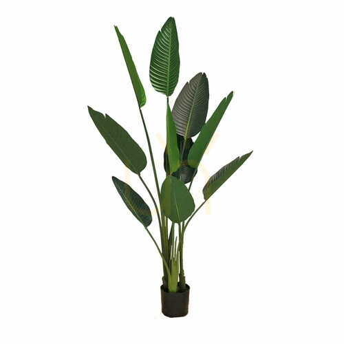 Kontrola Umělá hrnková rostlina Strelitzia 155cm