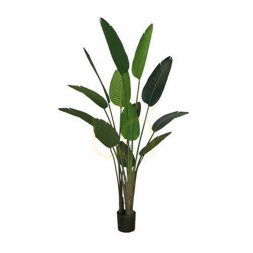 Kontrola Umělá hrnková rostlina Strelitzia 220cm