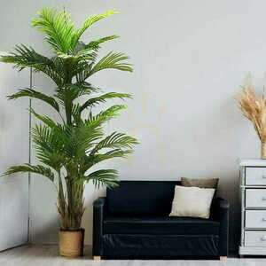 Umělý stromek Ravenea Palm 180 cm small 1