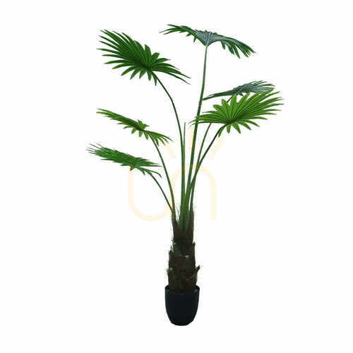 Kontrola Umělá palma v květináči Washingtonia Robusta 160cm