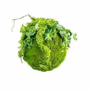 Kokedama Závěsná mechová koule 35 cm small 0