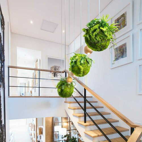 Kontrola Dekorativní mechová koule Kokedama 35 cm