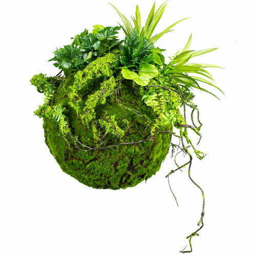 Kontrola Dekorativní mechová koule Kokedama 35 cm