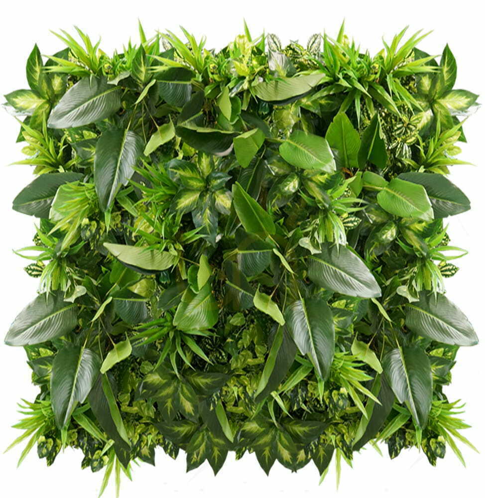 Pohled Vertikální zahrada Tropical Freshness Vertikální zahrada Tropical Freshness
