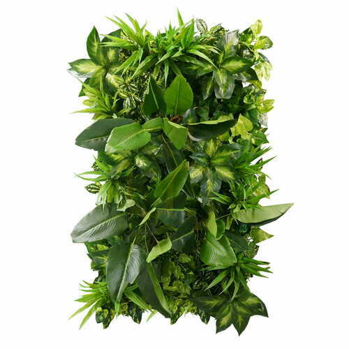 Kontrola Vertikální zahrada Tropical Freshness
