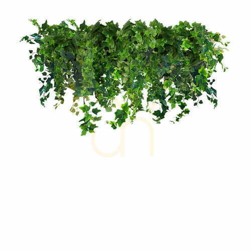 Kontrola Ivy Rain 100cm podhled