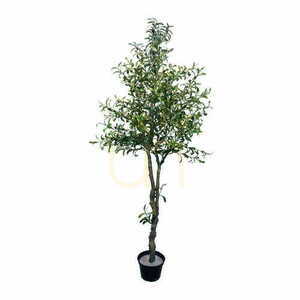 Umělý 🌳 olivovník 🌳 olivovník 210cm - Premium small 0