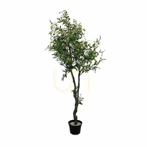 Kontrola Umělý olivovník 180 cm