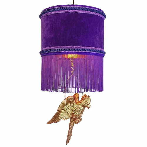 Kontrola COCO Las Plumas