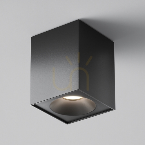 Kontrola Plafond ZOOM C030CL-01B IP54 Maytoni
