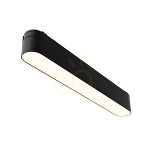 Kolejnicová lampa BASIS TR080-1-12W3K-B Maytoni small 2