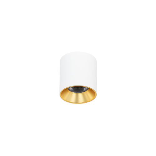 Kontrola Přisazené LED svítidlo Italux Altisma bílé 10W 3000K 1100 lm CLN-6677-75-WH-GD-3K