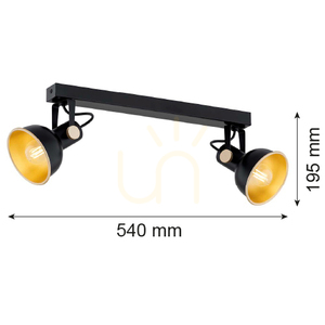 Plafon ARGON Lenora černý/zlatý 2x E14 7142 small 5