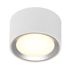 Přisazené stropní svítidlo Nordlux Fallon 47540132 LED Moodmaker™ bílé/ocelové 10 cm small 1