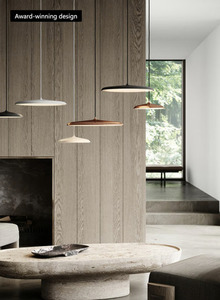 Závěsná lampa Artist 25 šedá od společnosti Nordlux small 1