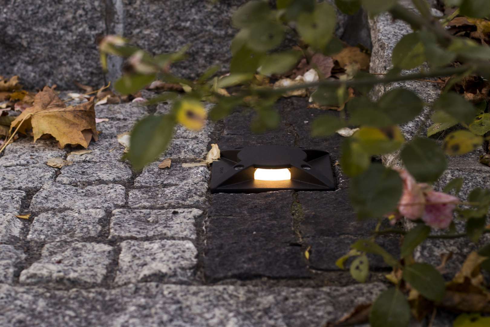 Kontrola Rena 1633 Black Led Gu10 5.5W 3000K Square Eei G Rena 1633 Black Led Gu10 5.5W 3000K Square Eei G