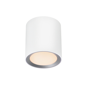 Přisazené stropní svítidlo Nordlux Landon Smart Long 2110850101 bílé LED 8 W IP44 small 5