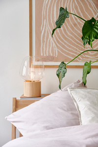 Stolní lampa CHRISTINA Nordlux E27 25W Tree Transparent small 2