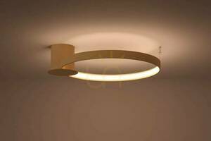 Stropní svítidlo RIO 55 golden LED 3000K Thoro small 2