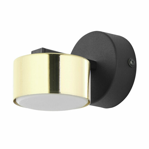 Kontrola Nástěnná lampa Dallas Gold/Black 1 Pł