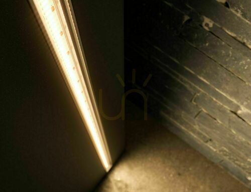 Kontrola LED pásek OPTI 12V 2400 LED COB 10W/m 3000K CRI90 IP20 teplá bílá, role 5 m