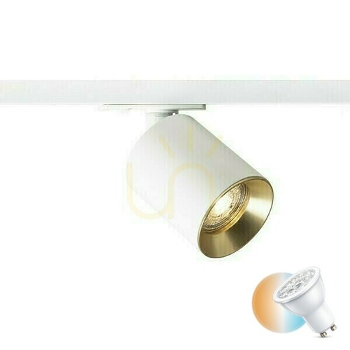 Kontrola Dario Spotlight pro 1 fázi. Kolejnice Bílá kartáčovaná mosaz 230 V Gu10 9 W.