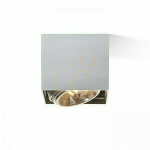 Svítidlo Dean I Brushed Aluminum 230 V/12 V G53 50 W. small 2