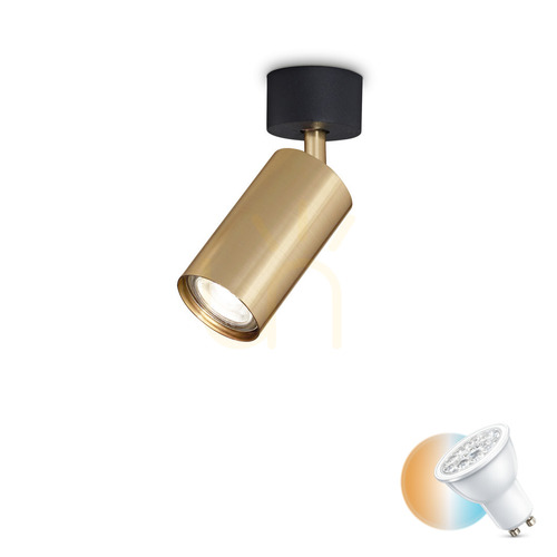 Kontrola Plafon Ideallux DYNAMITE PL1 mosaz GU10 1x28W 244662