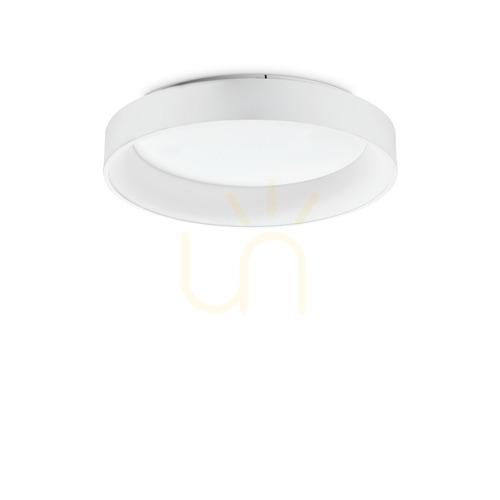 Kontrola Plafon LED Ideallux ZIGGY PL D060 bílý 59,5 cm 43W 293790
